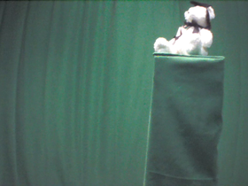 270 Degrees _ Picture 9 _ White Bear Wearing Graduation Cap.png